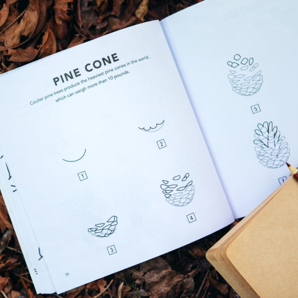 Fall Things: How to Draw Books for Kids with Pumpkins, Scarecrows, Turkeys and More