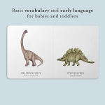 Alternative view 8 of Our Little Library Vol. 3: A Foundational Language Vocabulary Board Book Set for Babies, Including Bugs, Dino saurs, Sports, Space, and Trucks