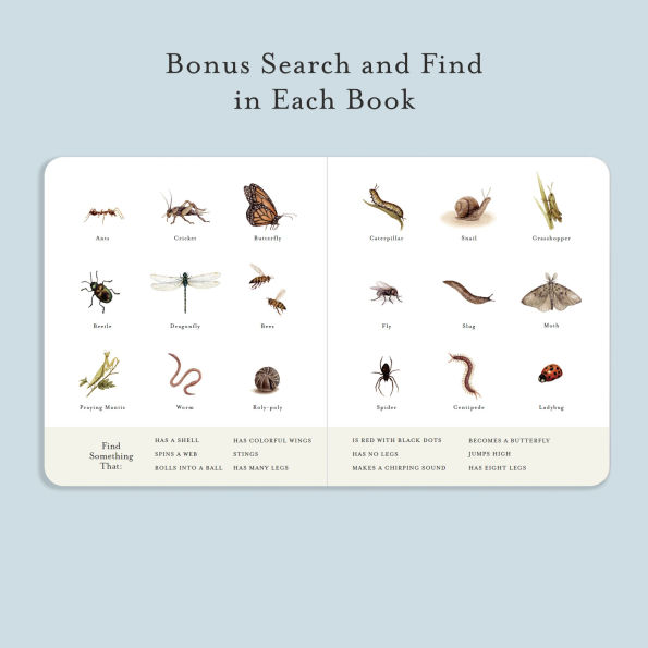 Our Little Library Vol. 3: A Foundational Language Vocabulary Board Book Set for Babies, Including Bugs, Dino saurs, Sports, Space, and Trucks