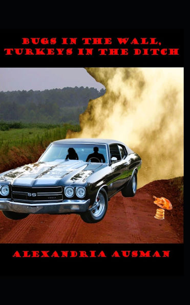 Bugs in the Wall, Turkeys in the Ditch