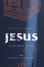 Experience Jesus in the Gospel of Luke