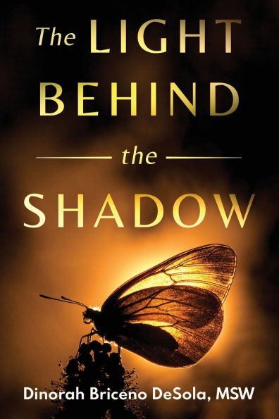 the Light Behind Shadow