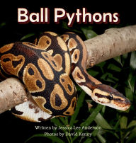 Title: Ball Pythons, Author: Jessica Lee Anderson