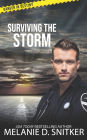 Surviving the Storm: Christian Romantic Suspense