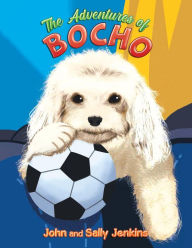 Title: The Adventures of Bocho, Author: John and Sally Jenkins