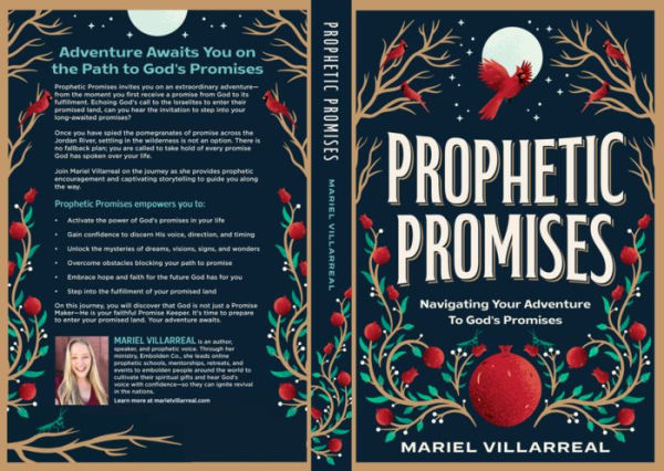 Prophetic Promises: Navigating Your Adventure to God's Promises