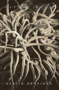 Online textbooks free download Little Neck 9781964499512