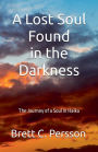 A Lost Soul Found in the Darkness: The Journey of a Soul in Haiku