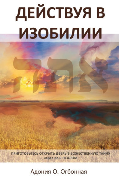 Russian Edition - Operating Abundance