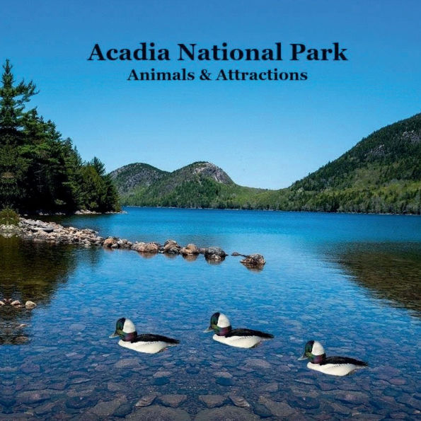 Acadia National Park Animals and Attractions Kids Book: Great Way for Kids to See the Animals and Attractions in Acadia National Park