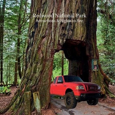 Redwood National Park Attractions Sights to See Kids Book: Great Book for Children about Redwood National Park