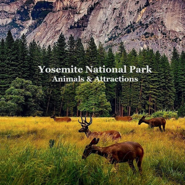 Yosemite National Park Animals Attractions Kids Book: Great Book for Children about the Animals and Attractions in Yosemite National Park