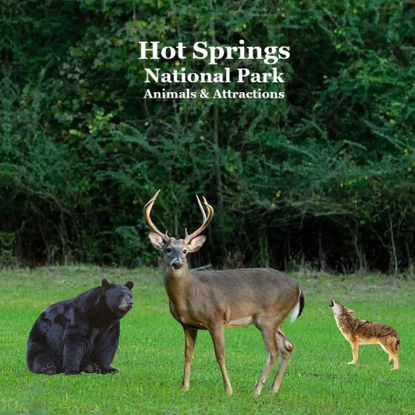 Hot Springs National Park Animals and Attractions Kids Book: Great book for children about the animals and attractions in Hot Springs national park