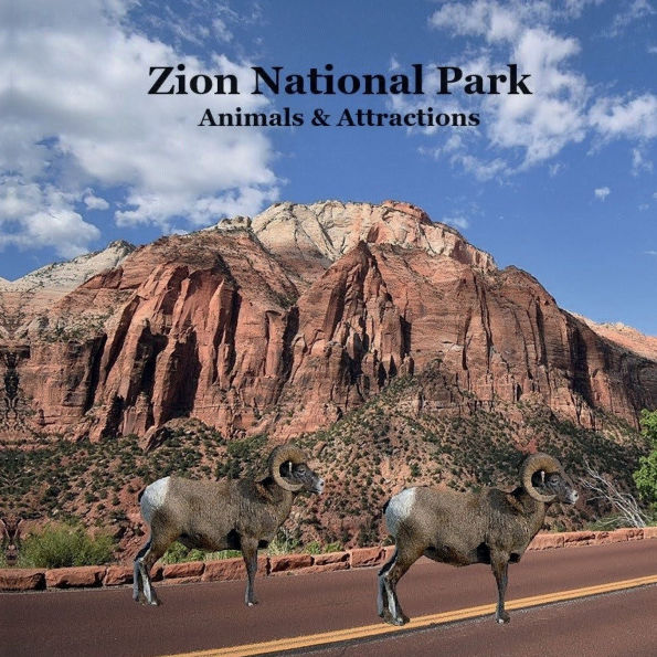 Zion National Park Animals and Attractions Kids Book: Great Book for Children about Zion National Park Animals and Attractions