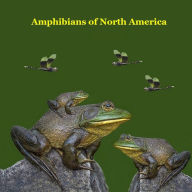 Title: Amphibians of North America Kids Book: Great Children's Amphibians Book about Frogs, Toads, Salamanders, of North America, Author: Kinsey Marie
