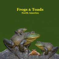 Title: Frogs and Toads of North America Kids Book: Great Children's Book about the types of North American Frogs and Toads, Author: Kinsey Marie