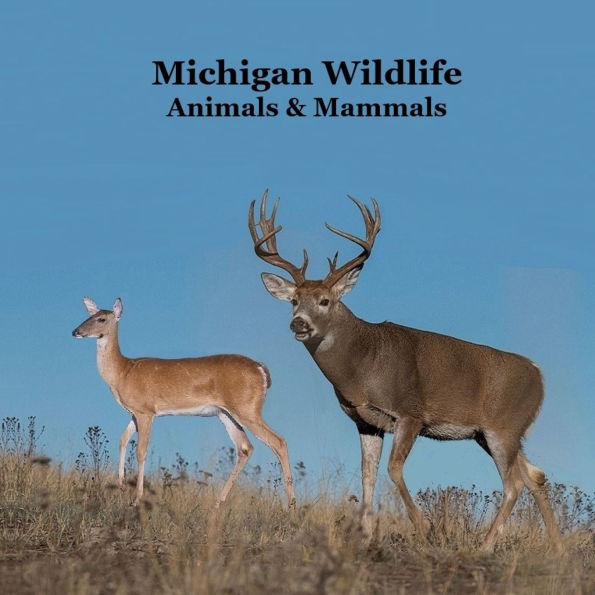 Michigan Animals and Mammals Wildlife Book: Great Michigan Animals book with Lifelike Images and Fun Facts