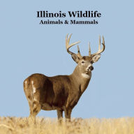 Title: Illinois Animals and Mammals Wildlife Book: Great Illinois Animals book with Lifelike Images and Fun Facts, Author: Kinsey Marie