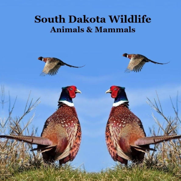 South Dakota Animals and Mammals Wildlife Book: Great South Dakota Animals Book for Children of all Ages