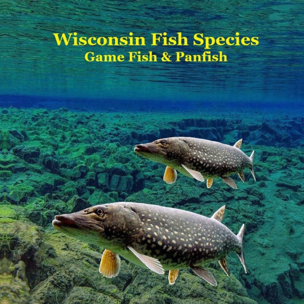 Wisconsin Game Fish and Panfish Species Kids Book: Great Book About the Different Types of Fish in Wisconsin