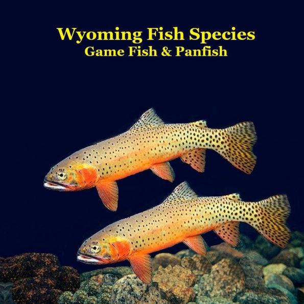 Wyoming Game Fish and Panfish Species Kids Book: Great Book About the Different Types of Fish in Wyoming