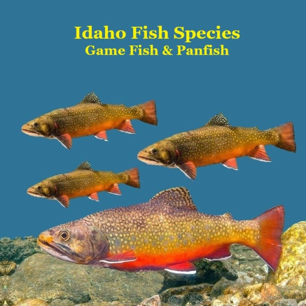 Idaho Panfish and Game Fish Species Kids Book: Great Book About the Different Types of Fish in Idaho