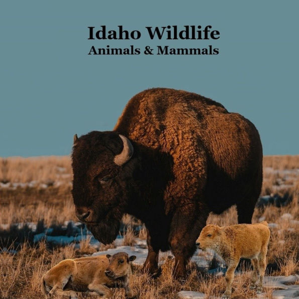 Idaho Animals and Mammals Kids Wildlife Book: Great Idaho Animals book with Lifelike Images and Fun Facts