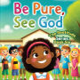 Be Pure, See God; The Beatitudes Series: Book 6