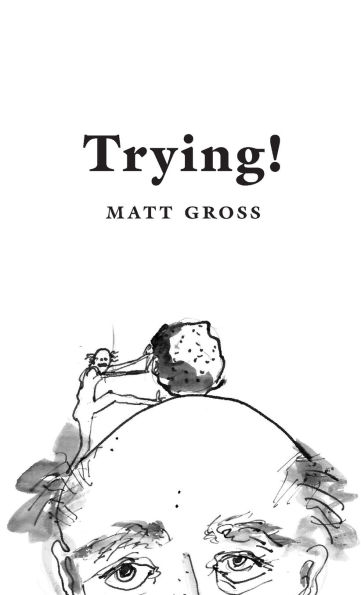 Trying!: Eleven Attempts to Make Sense of Our World