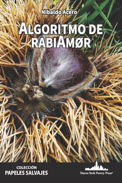 Algoritmo de RabiAmor