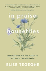 Free to download books on google books In Praise of Houseflies: Meditations on the Gifts in Everyday Quandaries