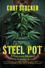 Steel Pot: A Vietnam Memoir Volume 1