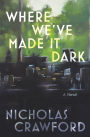Where We've Made It Dark: An Impossible Coming of Age With Nothing Left to Come of Age To