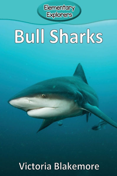 Bull Sharks