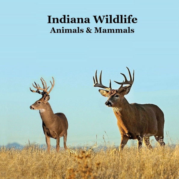 Indiana Animals and Mammals Kids Wildlife Book: Excellent Wildlife Book about Animals and Mammals in Indiana
