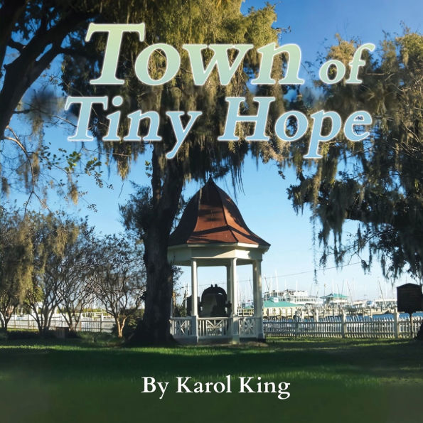 Town of Tiny Hope