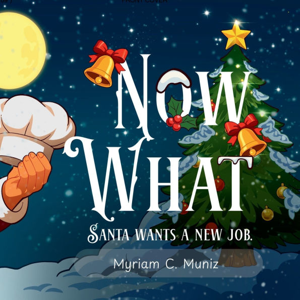 Now What? Santa Wants A New Job