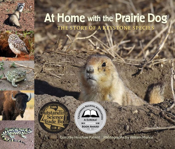 At Home with the Prairie Dog: The Story of a Keystone Species