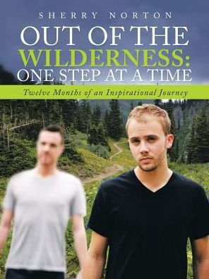 Out of The Wilderness: One Step at a Time: Twelve Months an Inspirational Journey