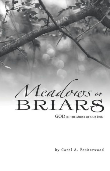 Meadows or Briars: God the Midst of Our Pain