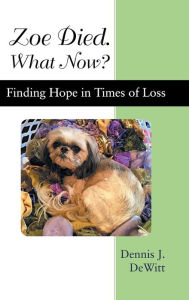 Title: Zoe Died. What Now?: Finding Hope in Times of Loss, Author: Dennis J. DeWitt