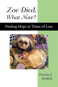 Title: Zoe Died. What Now?: Finding Hope in Times of Loss, Author: Dennis J DeWitt