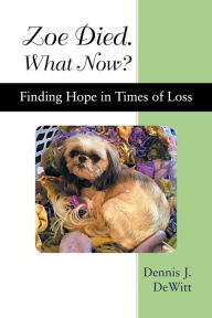 Title: Zoe Died. What Now?: Finding Hope in Times of Loss, Author: Dennis J. DeWitt