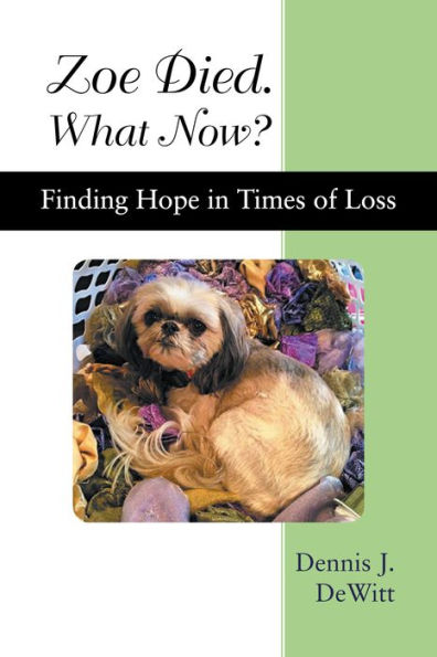 Zoe Died. What Now?: Finding Hope in Times of Loss