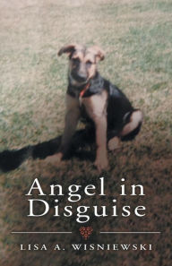 Title: Angel in Disguise, Author: Author