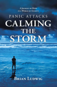 Title: Panic Attacks Calming the Storm: A Journey of Hope in a World of Anxiety, Author: Brian Ludwig