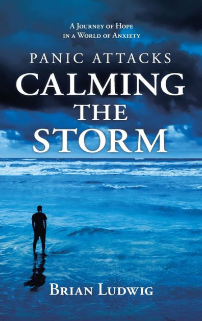 Panic Attacks Calming the Storm: A Journey of Hope in a World of ...