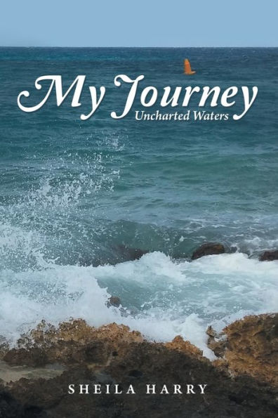 My Journey: Uncharted Waters