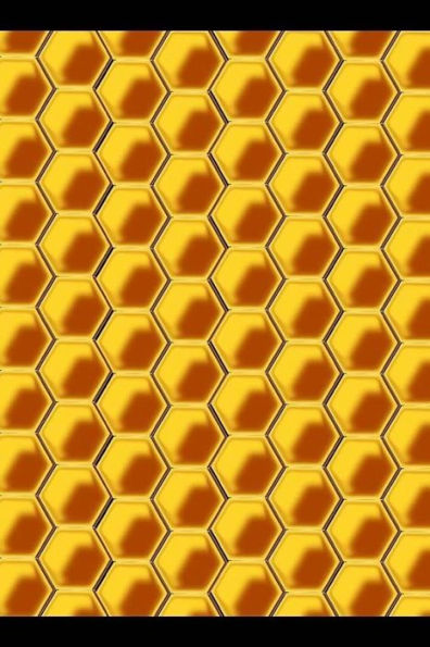 Bee Keeping: Notebook