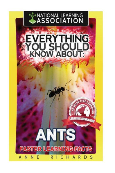 Everything You Should Know About: Ants